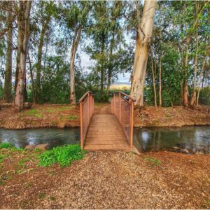 שביל ישראל קטע צפוני כפר גלעדי רמות נפתלי